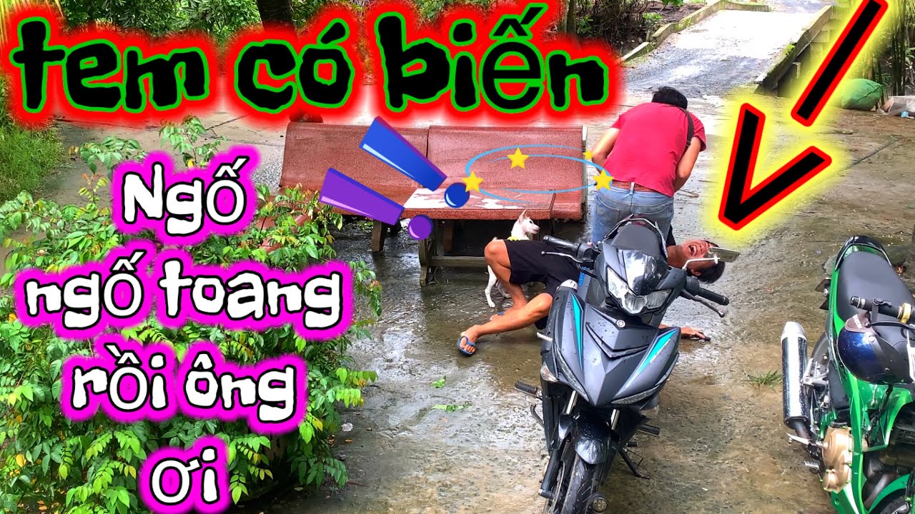 Ngố ngố sảy ra biến...| Sơn Ngố vlog