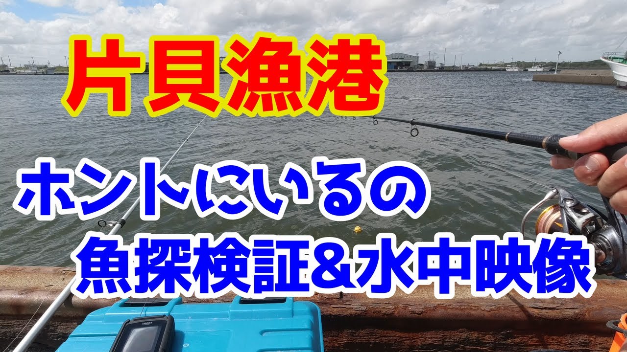 【片貝漁港】購入した魚探は使えるのか検証してきた