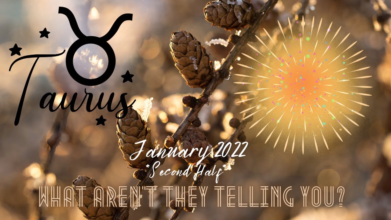 ♉️ Taurus: Separation has destroyed them; you're the one for them & they're reclaiming their love!