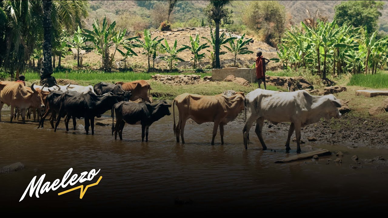 Uharibifu wa vyanzo vya maji na athari zake Tanzania