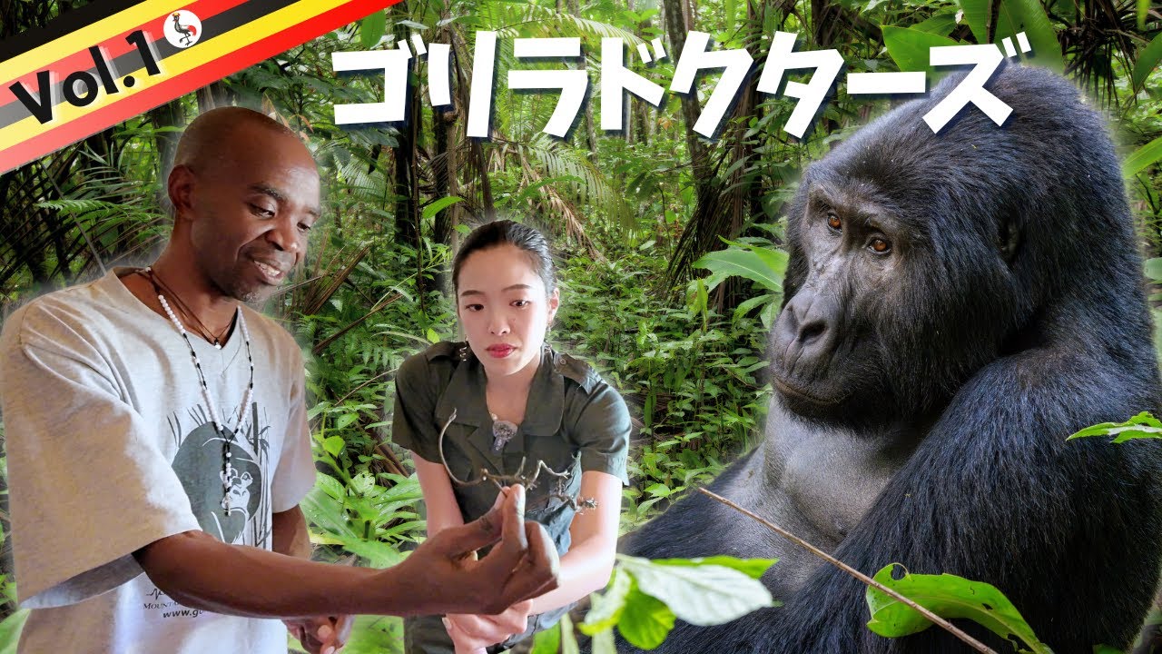 【ウガンダで保護活動を学ぶ旅】絶滅危惧種を救うゴリラドクターズに会いにアフリカジャングルへ！VLOG1
