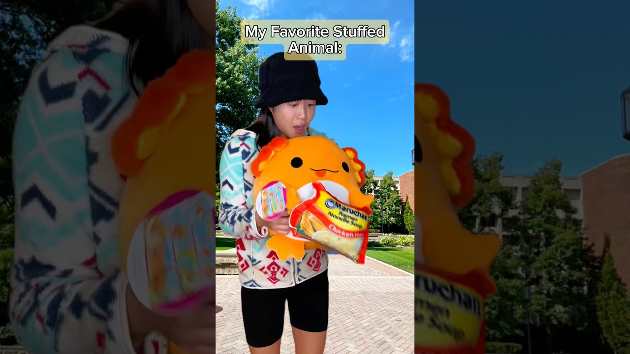 Моя любимая плюшевая игрушка: 🧸