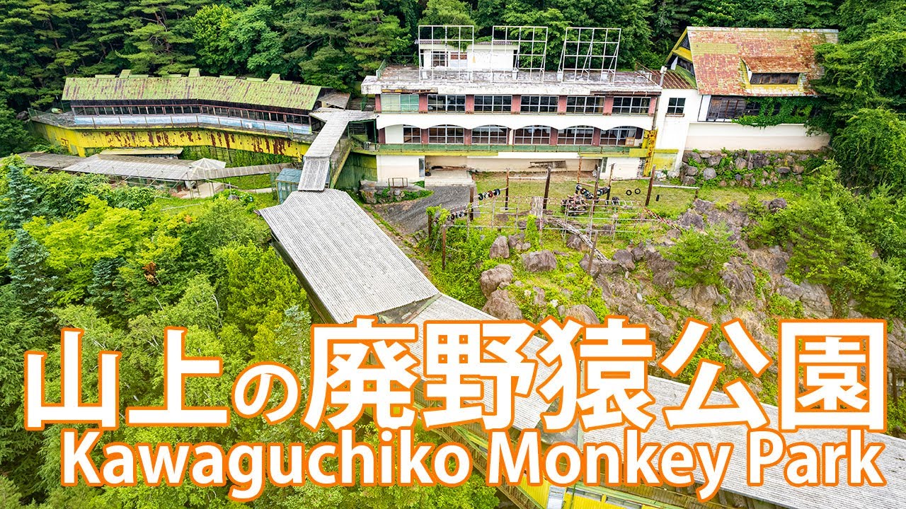 Парк обезьян Кавагутико [заброшенный зоопарк на горе]