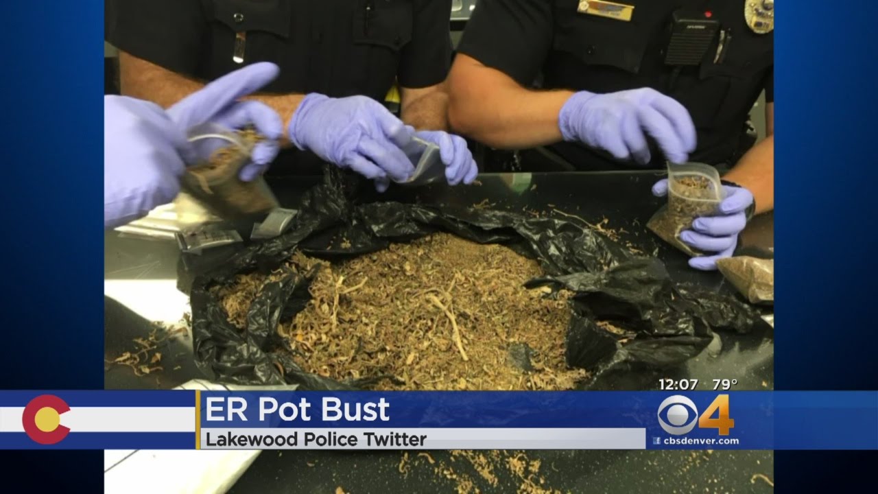 Police Find Trash Bag Full Of Pot