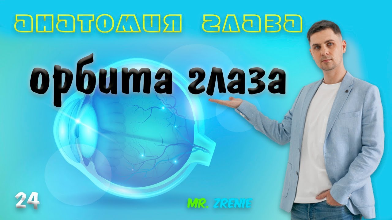 орбита глаза | глазница анатомия