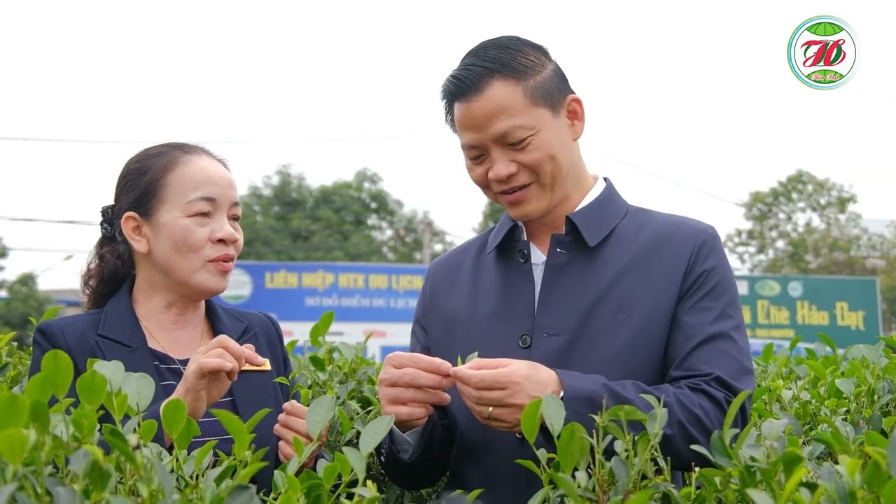 HTX CHÈ HẢO ĐẠT: DẤU ẤN MỘT NĂM NHÌN LẠI