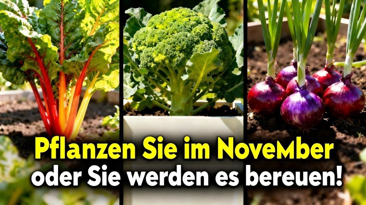7 extrem produktive Pflanzen, die Sie im November anbauen müssen (bevor es zu spät ist!)