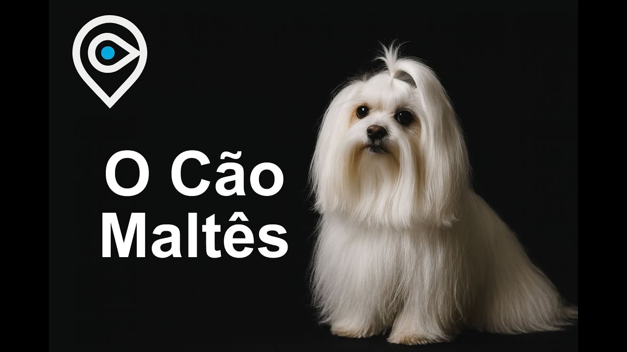O Cão Maltês