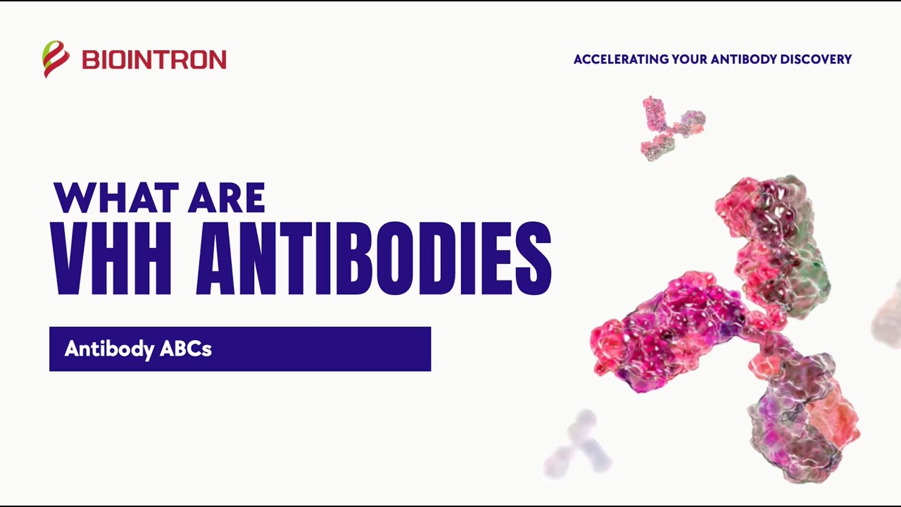 Antibody ABCs: VHH Antibodies