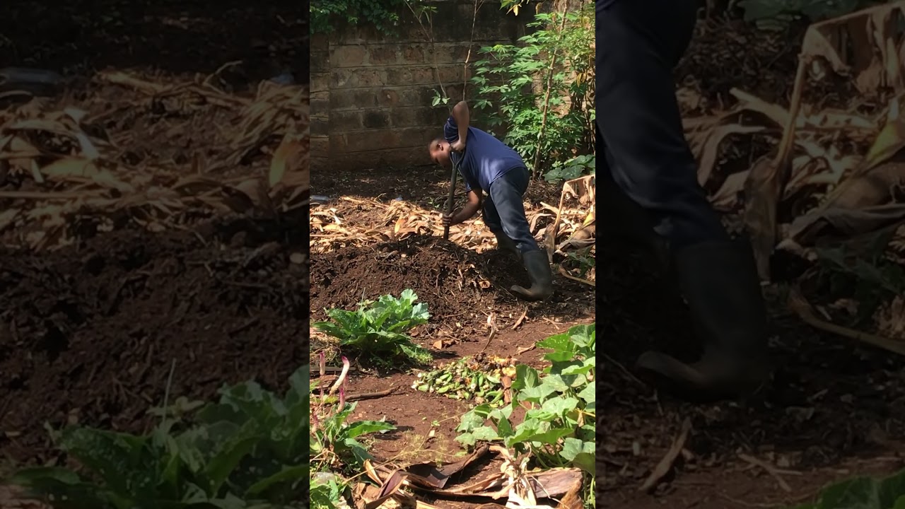Aerating the Compost #thermal-composting #organicgardening #gardening