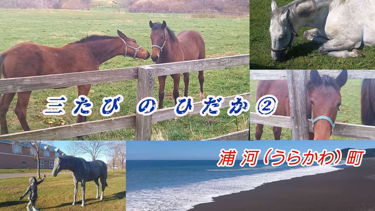 三たび の ひだか ②　浦河町