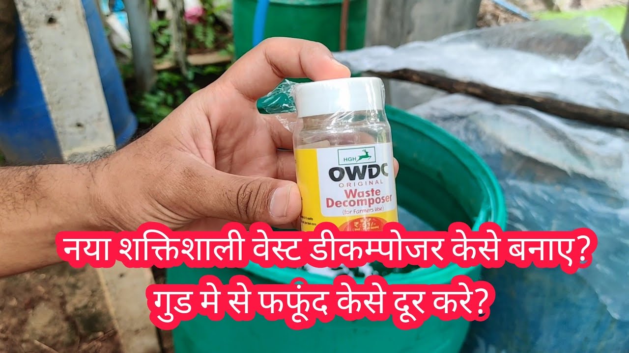 Original waste decomposer |OWDC नया वेस्ट डीकम्पोजर | गुड को उबालकर क्यूं डालना चाहिए?