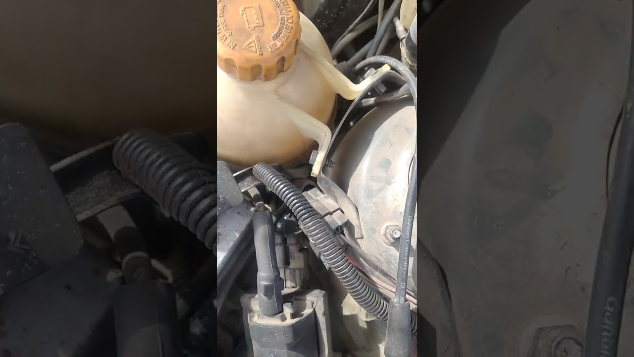 سكانار دايو  سيالو و راسار