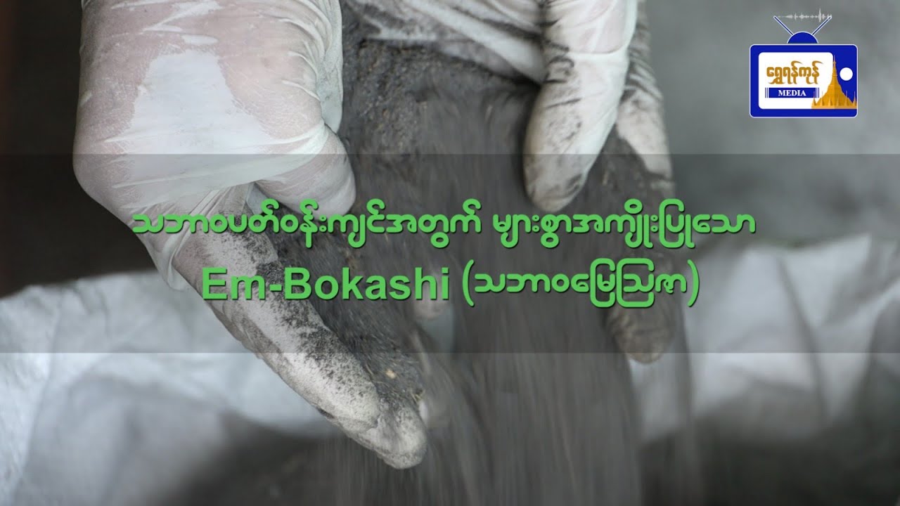 သဘာဝပတ်ဝန်းကျင်အတွက် များစွာ အကျိုးပြုတဲ့ EM-Bokashi (သဘာဝမြေဩဇာ)