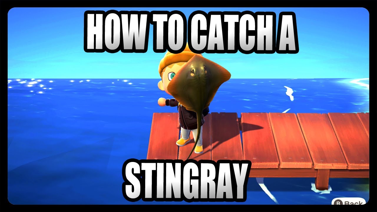 How To Catch a Ray in Animal Crossing New Horizons!