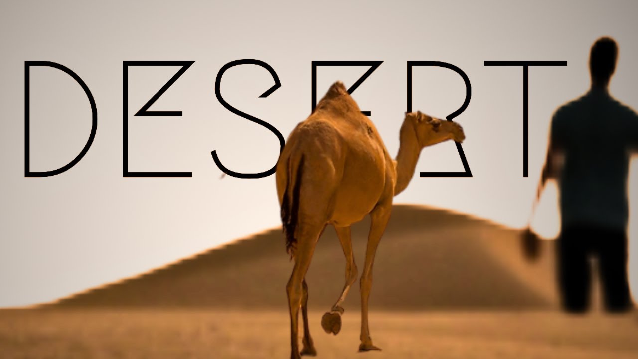 Dubai Desert | Desert Area | camel farm In Dubai