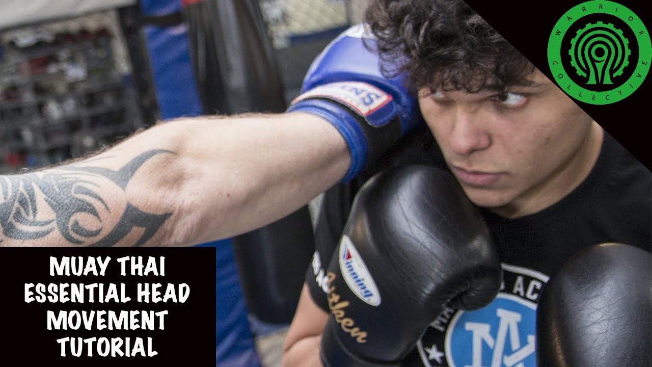 Muay Thai Essential Head Movement & Counters Tutorial