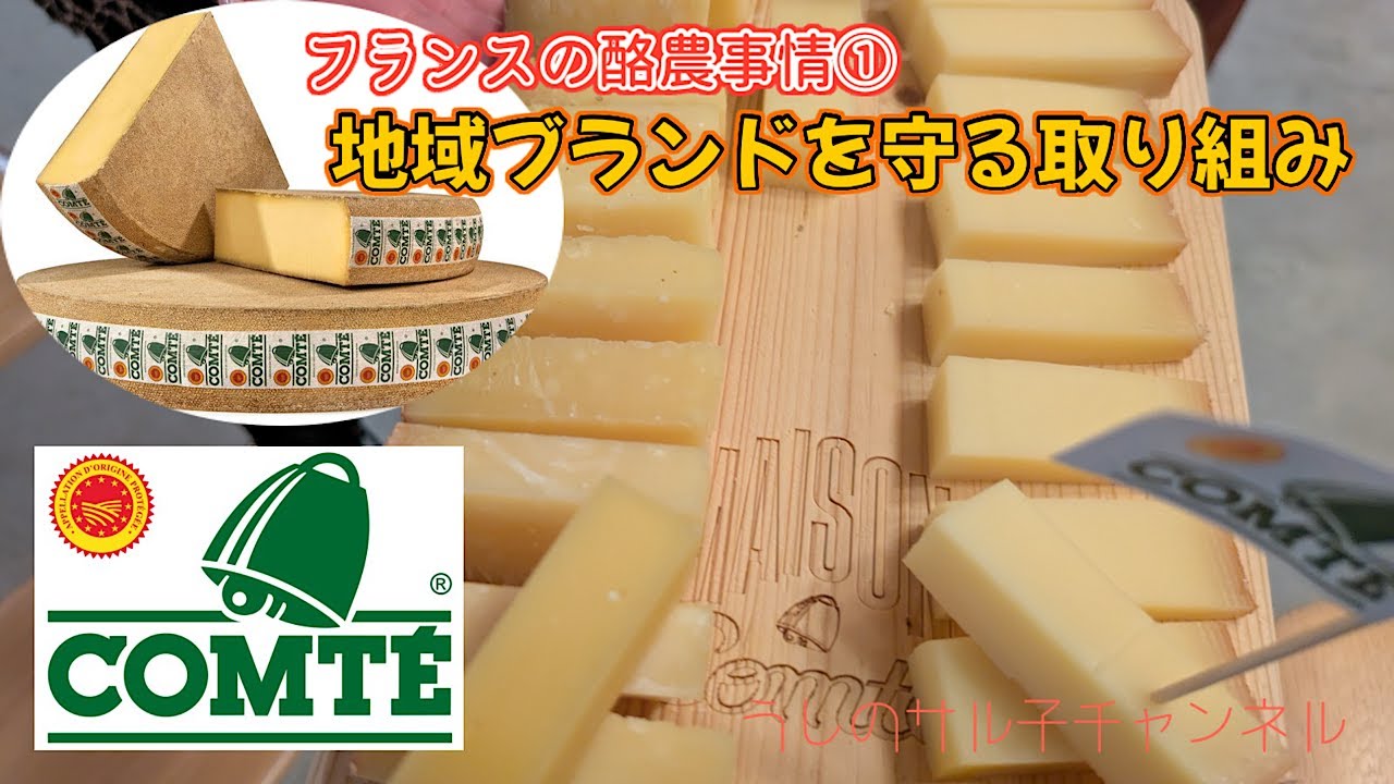フランスの酪農事情①   〜地域ブランドを守る取り組み　　　#北海道 #厚岸 #酪農 #JA釧路太田 #フランス #農家の嫁 #酪農女子 #牛 #農業 #チーズ #乳製品