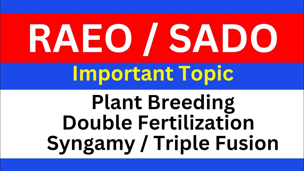 Plant Breeding - (Double Fertilization / Syngamy / Triple Fusion In Plants)