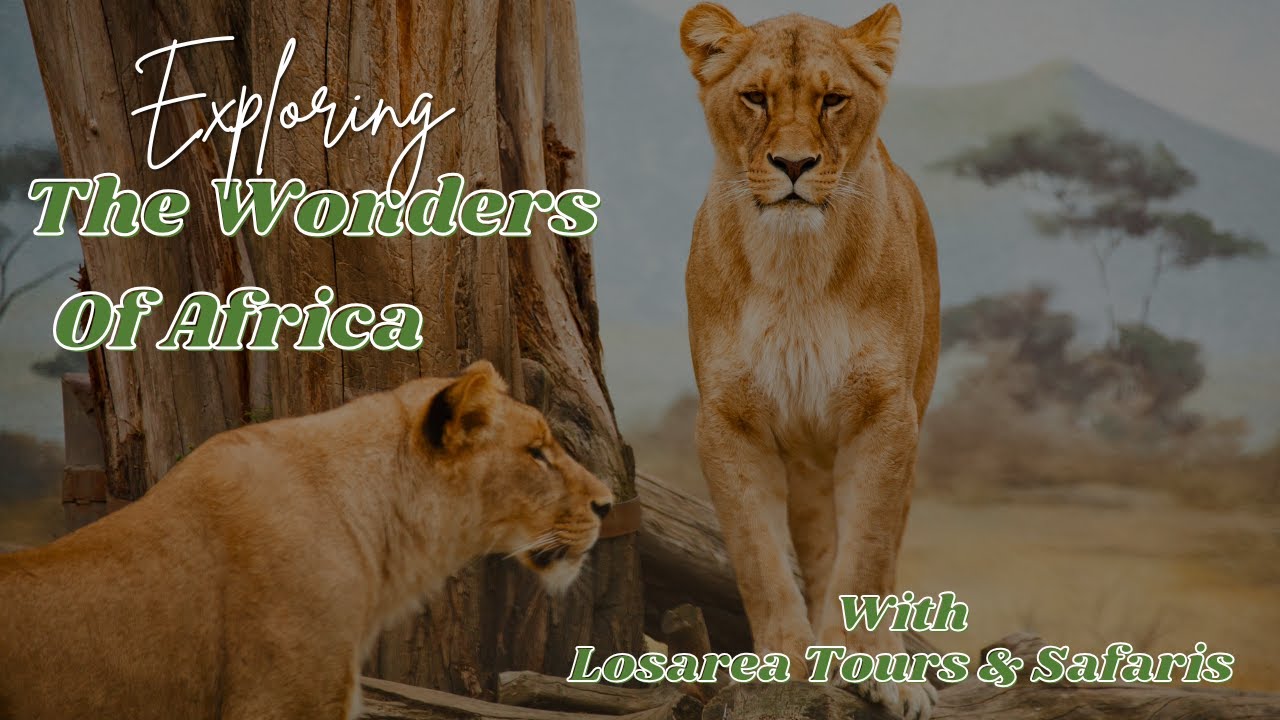 Journey Through Tanzania’s National Parks | A Complete Safari Experience