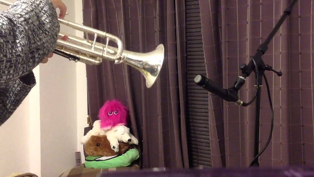 【トランペット】聖槍爆裂ボーイ_Trumpet【吹いてみた】