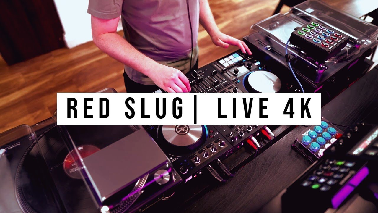 Happy, upbeat and bouncy house music | Mix 68 | Red Slug Music 4K Live Stream