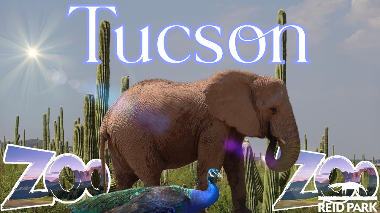 Reid Park Zoo | Summer Vacation 2024 Tucson Arizona