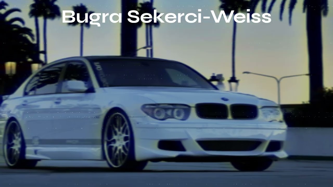 Bugra Sekerci-Weiss