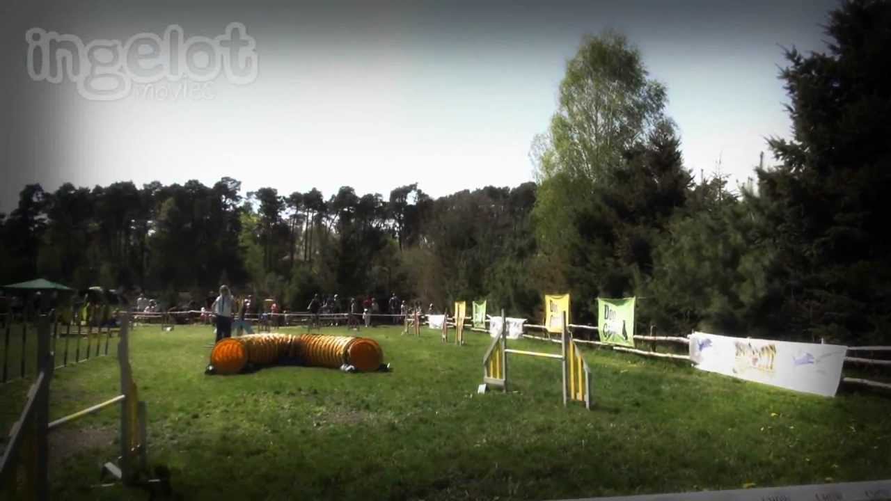 Treningowe Zawody Agility dla Przyjaciela - 29.04.12 (HD)