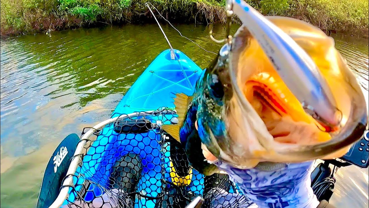 BEST Hour Of Fishing of my Life! | Kayak Bass Fishing Tenoroc