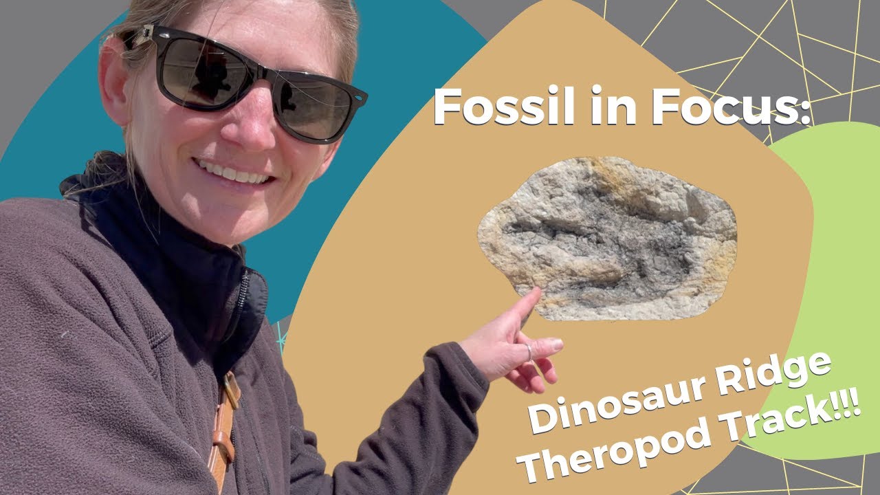 Fossil in Focus: Dinosaur Ridge Theropod Track