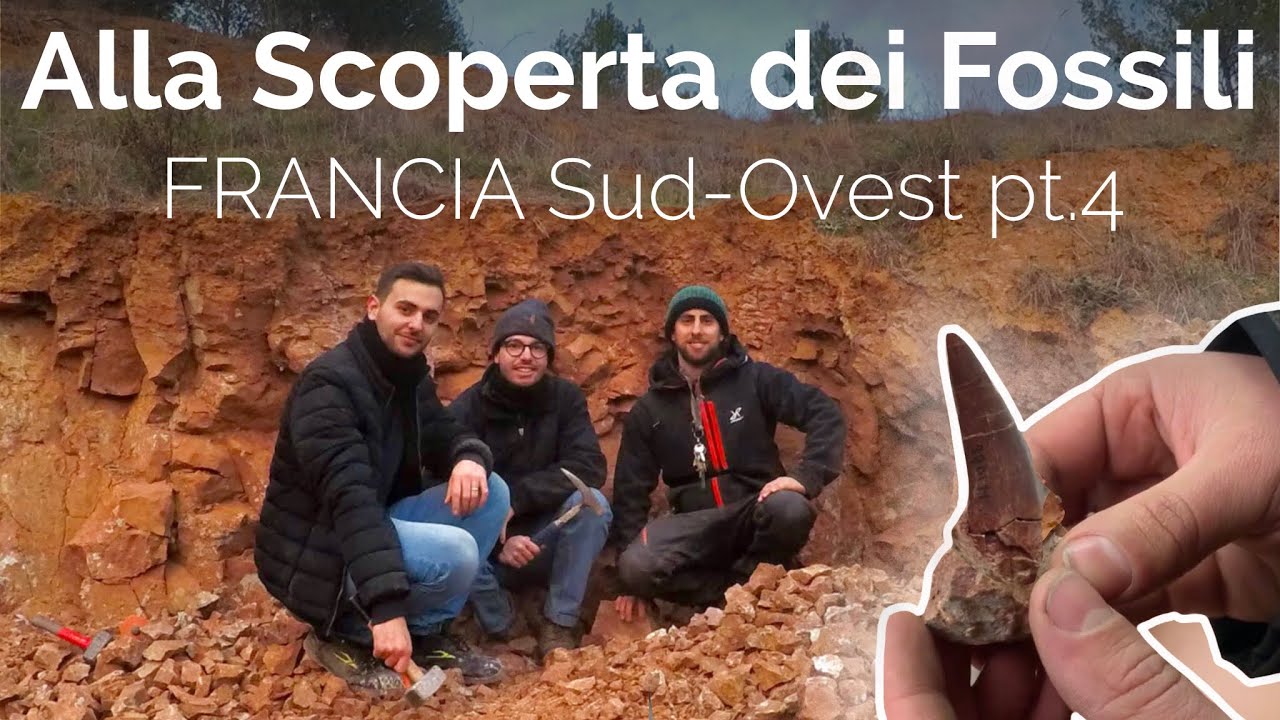 Alla scoperta dei fossili | FRANCIA Sud-Ovest | pt.4 (FINE)