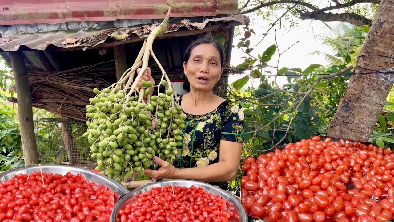 Mứt Cau Dẻo Ngon Màu Đỏ Đẹp - Món Ăn Tuổi Thơ Miền Tây | KBMQ T84