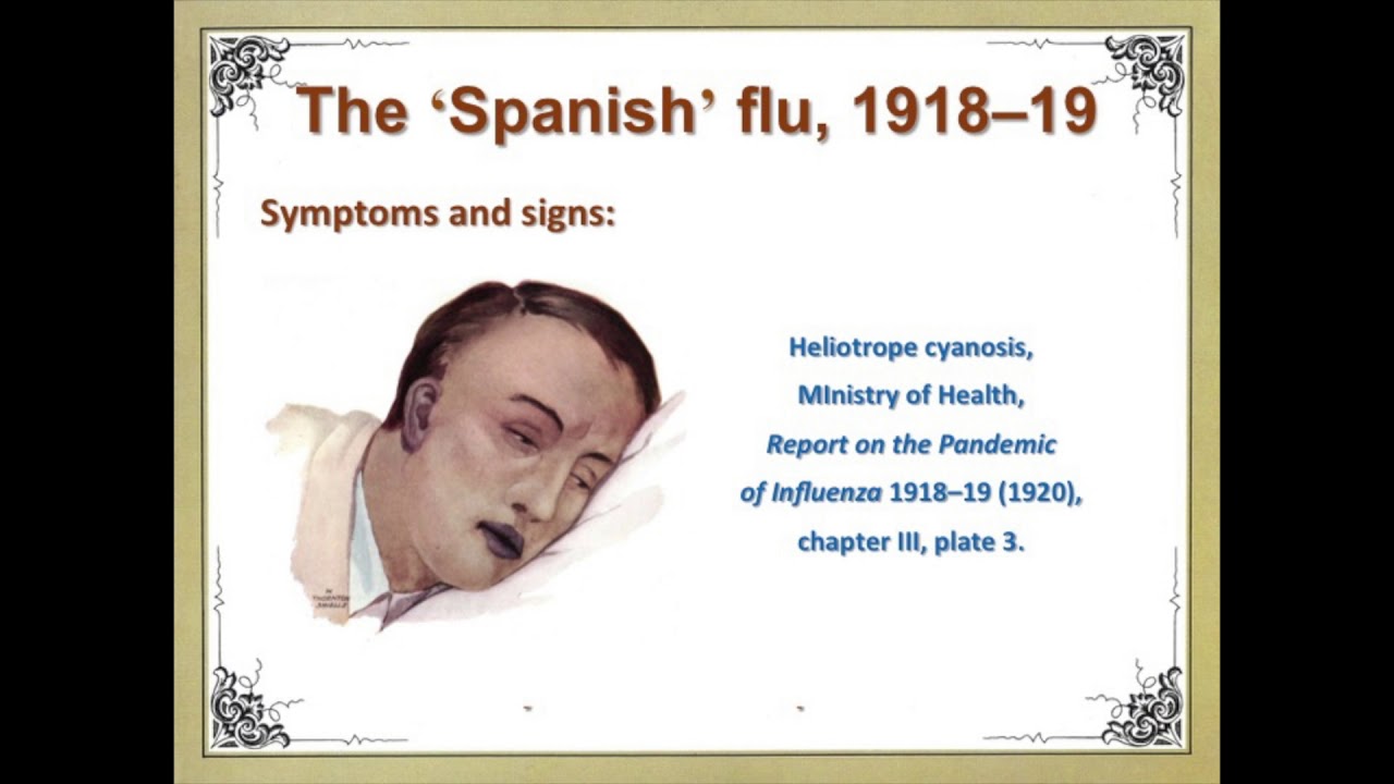 Flu Frenzy: An Introductory Overview with Christine Yeats and Dr Peter Hobbins