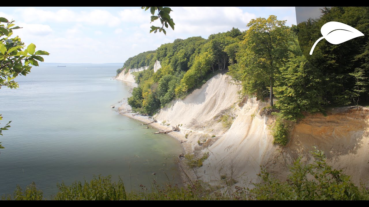 Wie entstanden die Kreidefelsen in Jasmund?