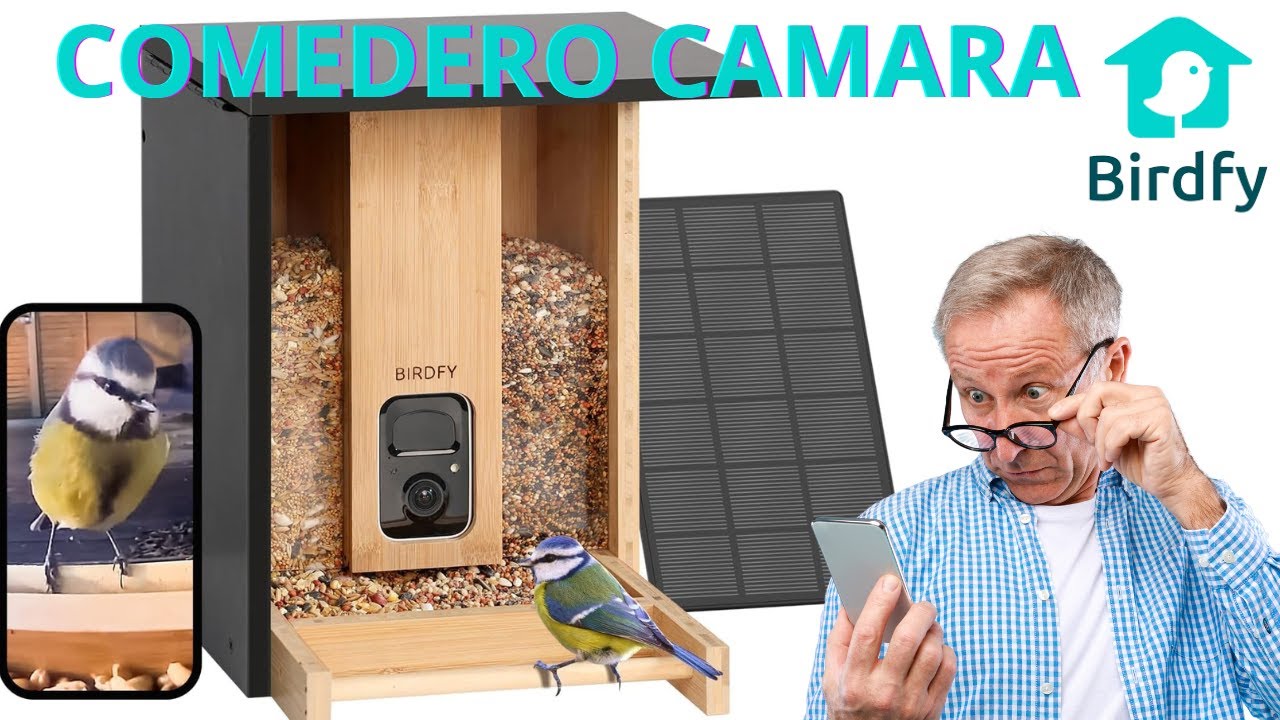 Comedero con Camara BIRDFY con IA