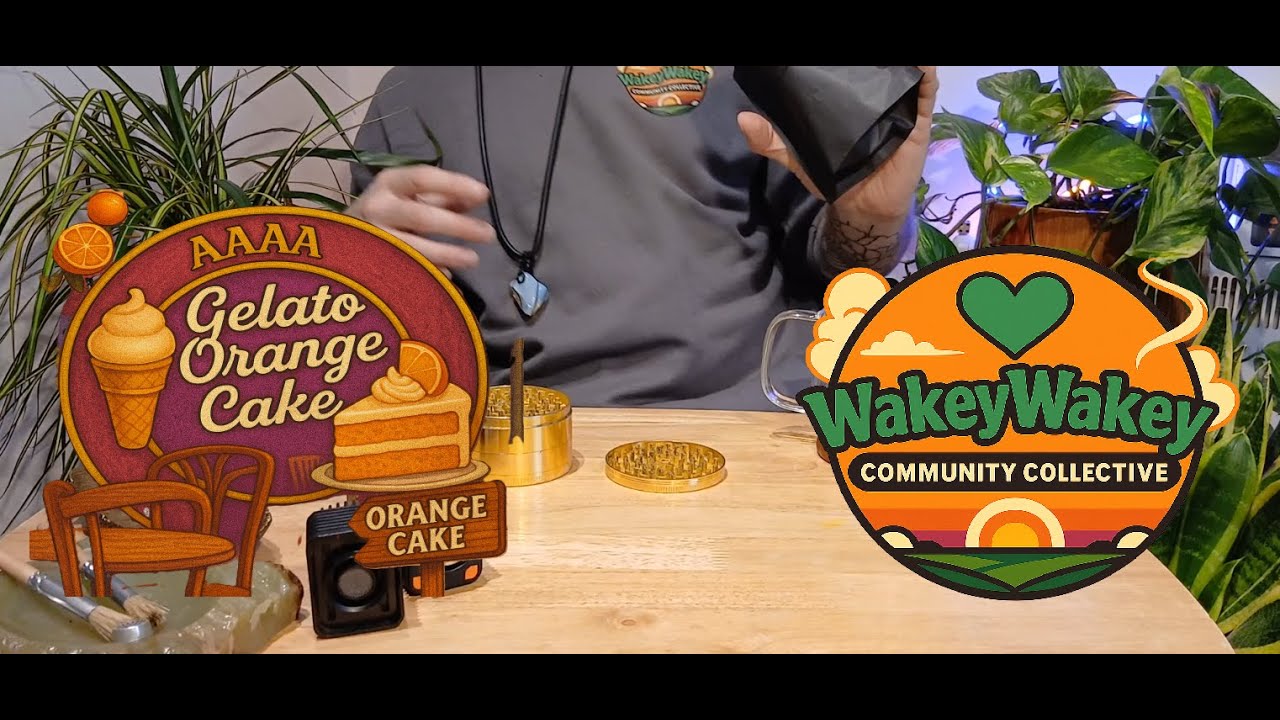 Time for Desert? Gelato Orange Cake (GLOC) 🍊✨ AAAA Canadian Vibes |  🎶