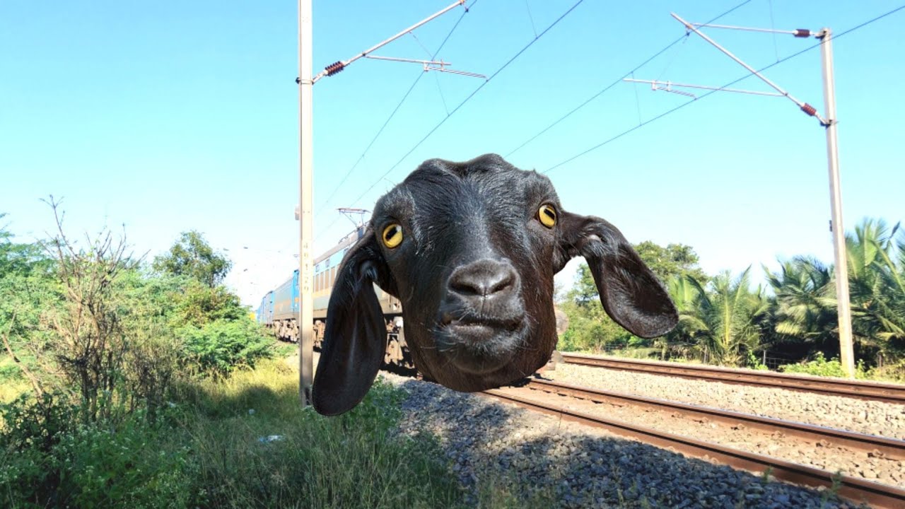 Funny Ghoat Train | Dheeran Kid | Funny Train Videos | @Gondezz | 75 |