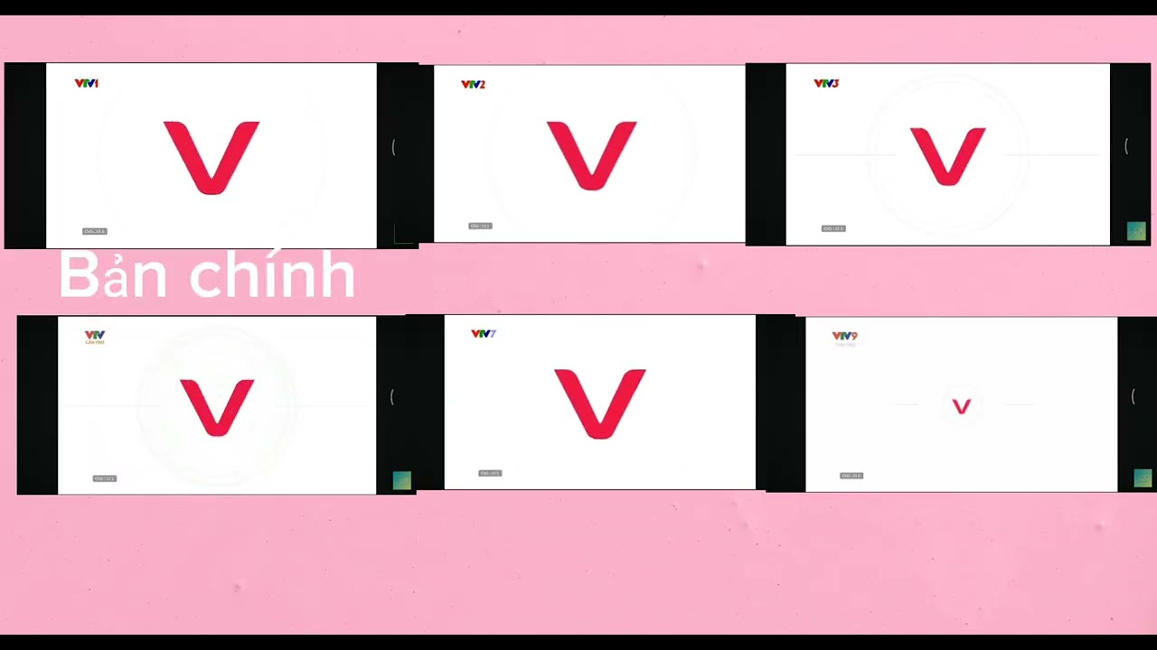 Multiview VTV 2/9/2025