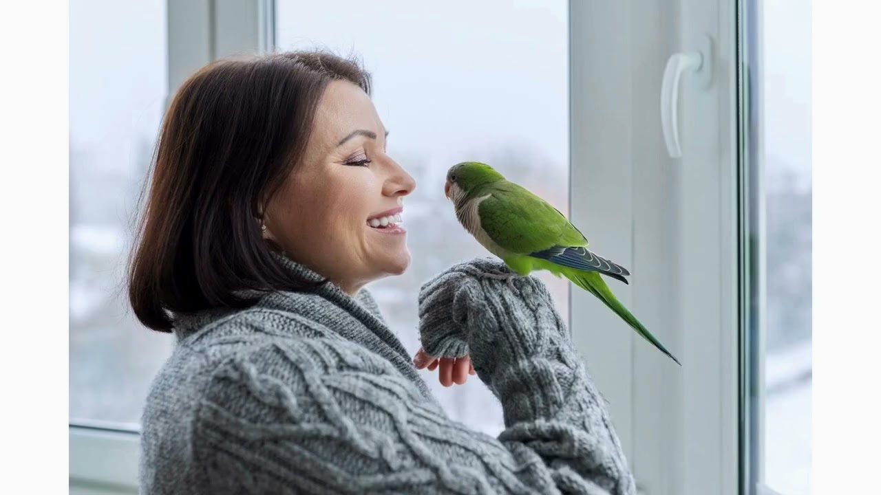 5 Essential Tips for First-Time Bird Owners!!!