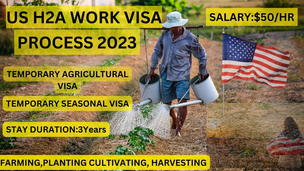 US H2A Work Visa Process 2023 (Temporary Agriculture Visa)#USA#usavisas #usvisa #us #usworkvisa
