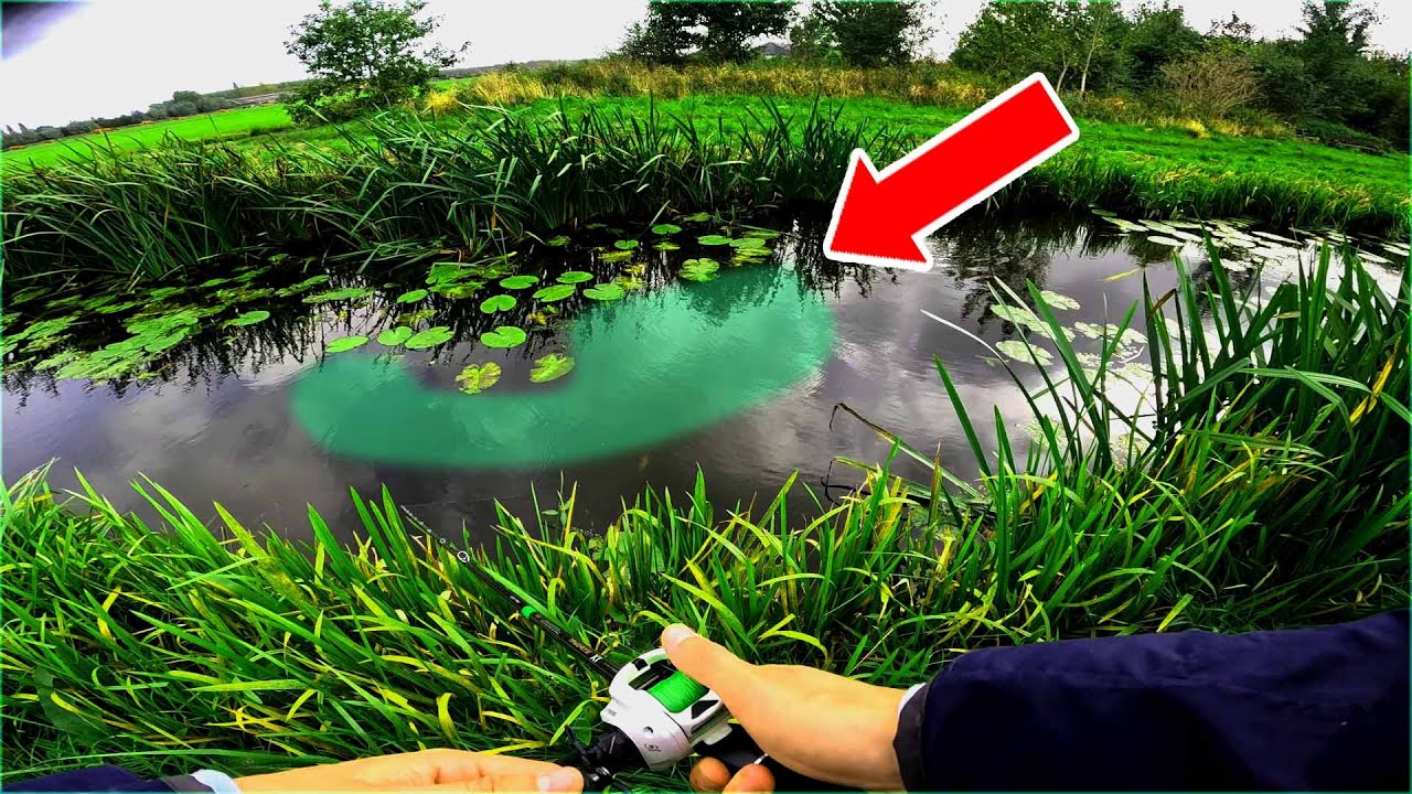 Ces PETITS CANAUX renferment de GROS PREDATEURS ! (Pêche du Brochet dans les POLDERS)