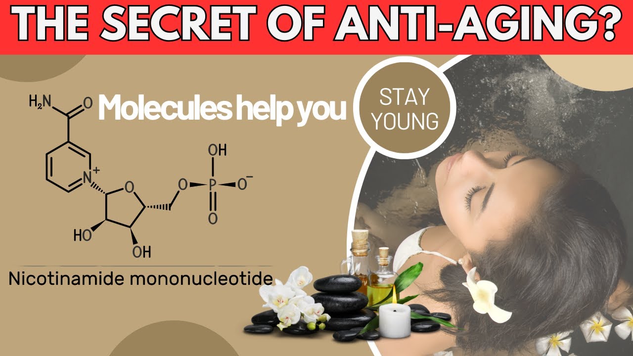 Benefits of NMN Supplements:  The Secret to Anti Aging