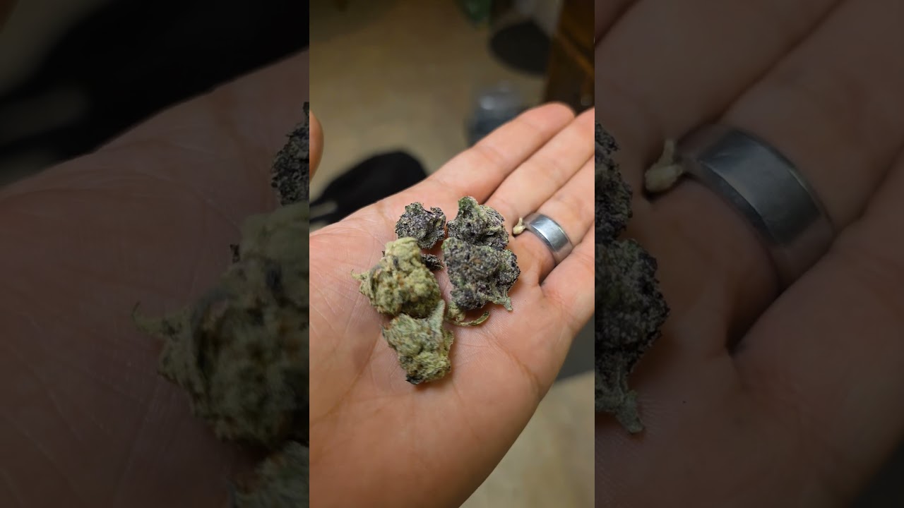 Gold Spectrum thca flower, pox runtz and dumb gas. Both very good!