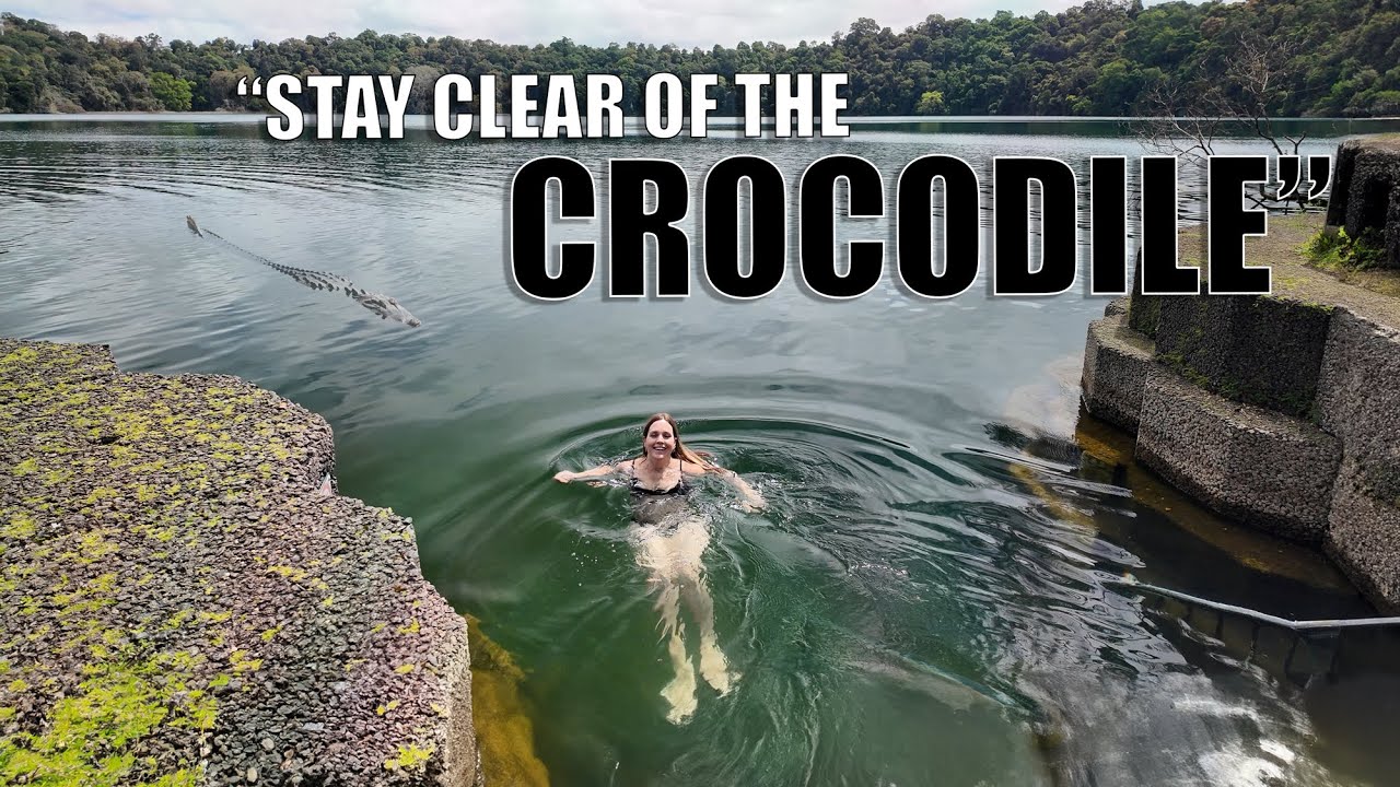 Vanlife Vlog | Swimming with a Crocodile in North Queensland