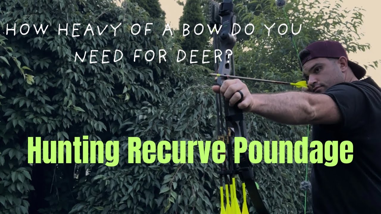 Traditional Bow Draw Weight - How Much Draw Weight Do You Really Need To Hunt Deer?
