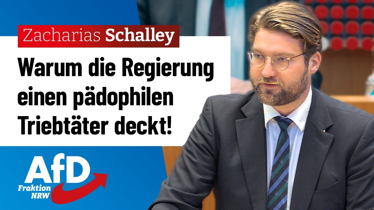 Warum die Regierung einen p&auml;dophilen Triebt&auml;ter deckt! &ndash; Zacharias Schalley (AfD)