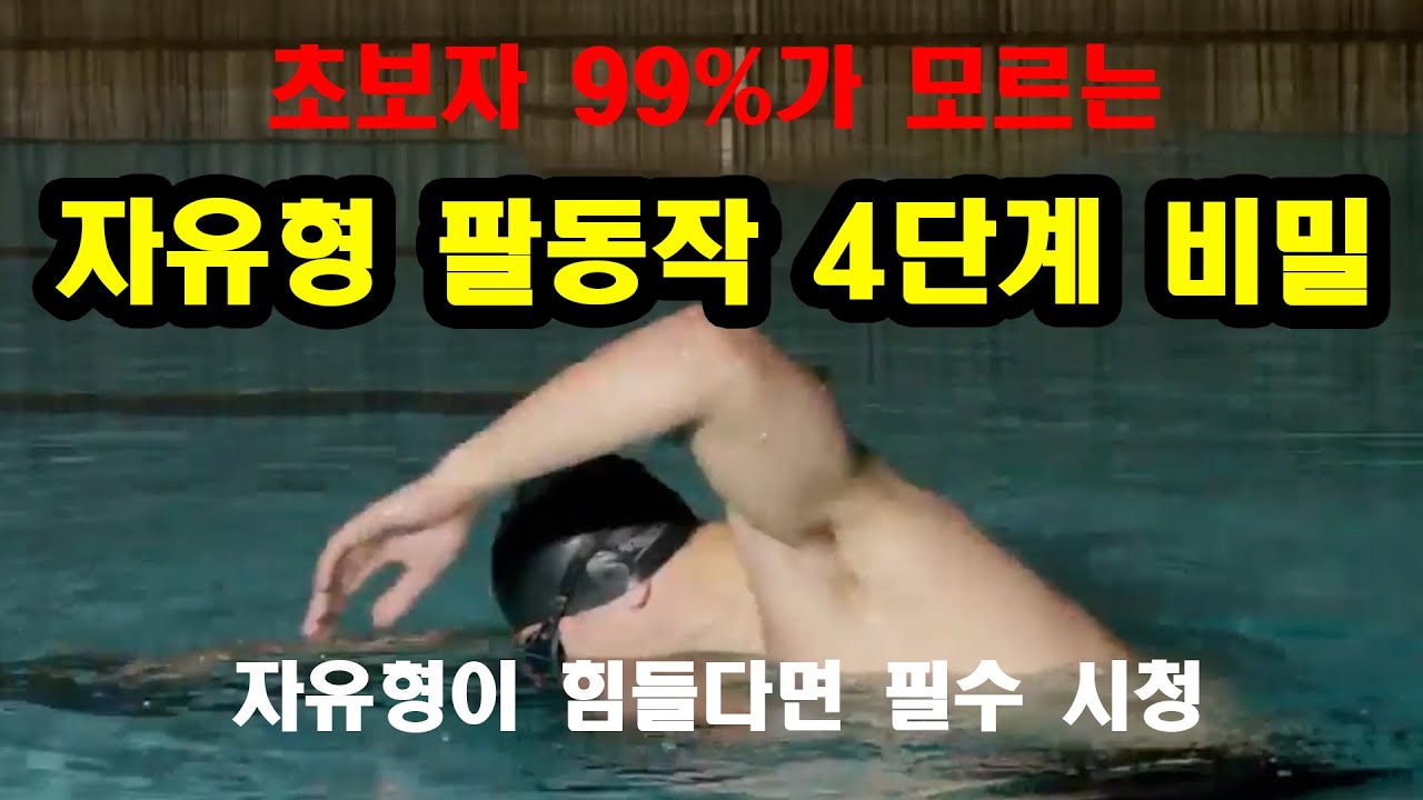 수영 초보자 99%가 모르는 자유형 팔돌리기 4단계의 비밀