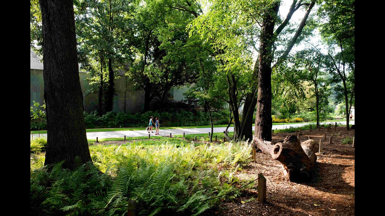 Stumpery Garden: An Atlanta BeltLine Arboretum Space