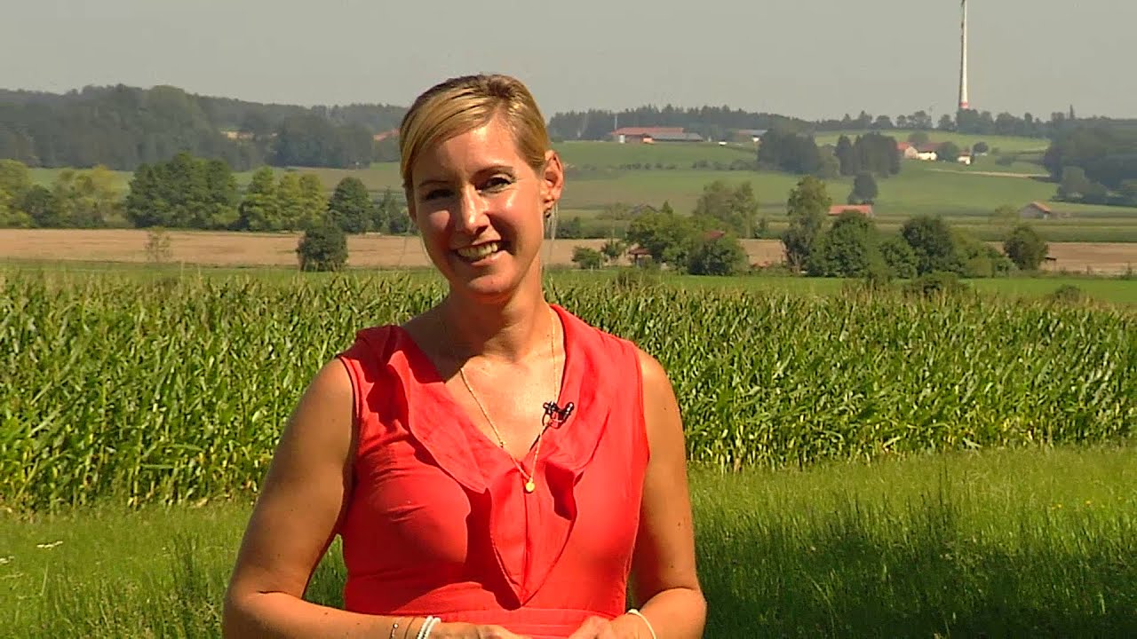 Heimatgschichtn - in Bruck auf dem Windrad
